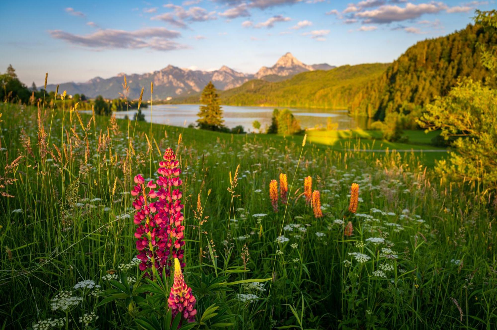 Hartungs Hoteldorf Füssen Екстериор снимка